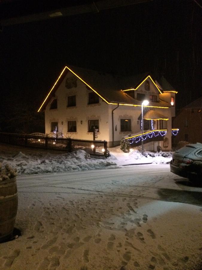 Hotel Alpenhof Markneukirchen Luaran gambar
